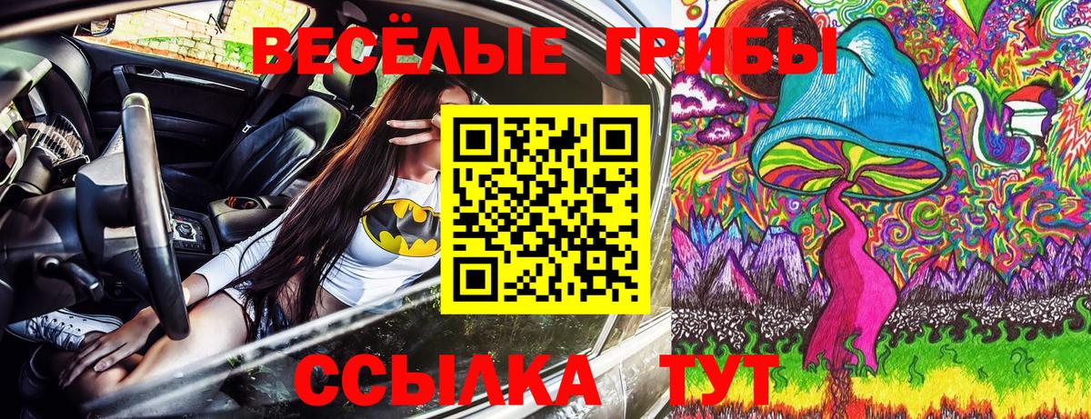 Псилоцибиновые грибы мухоморы Лыткарино